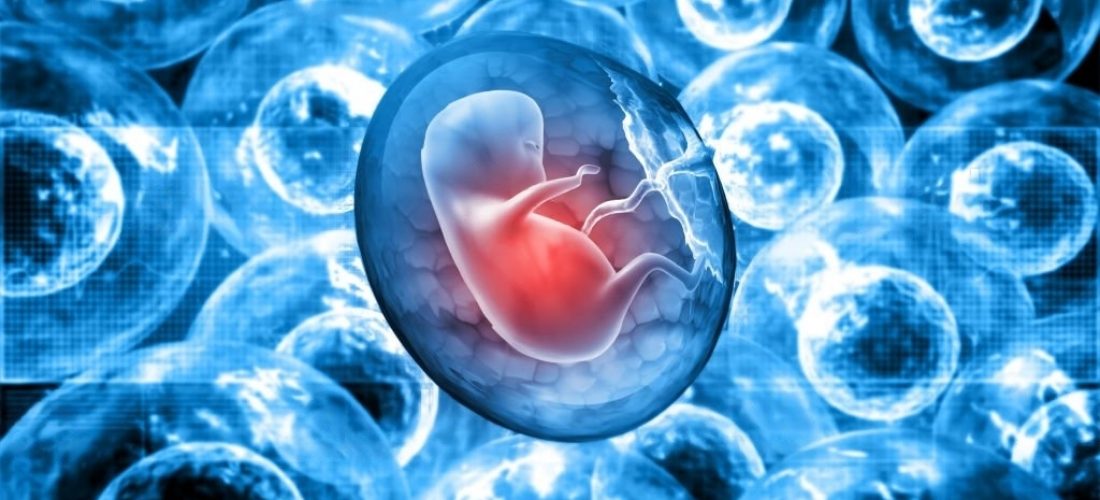 istockphoto-1187555564-1024x1024-transformed